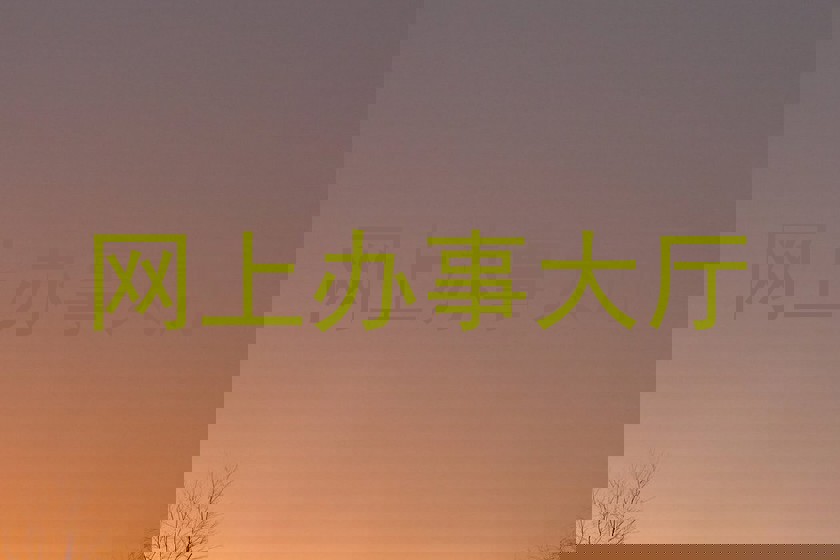 网上办事大厅