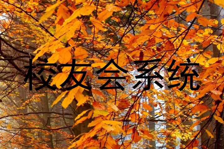 校友会系统