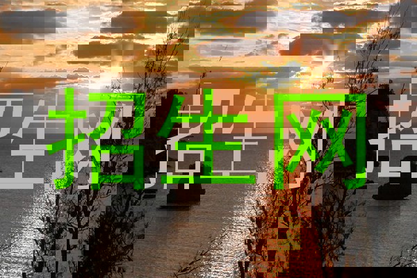 招生网