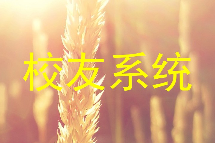 校友系统