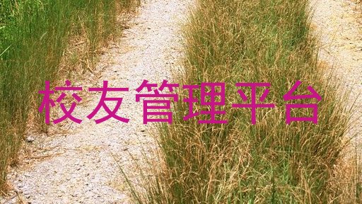 校友管理平台