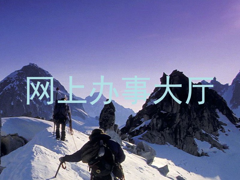 网上办事大厅