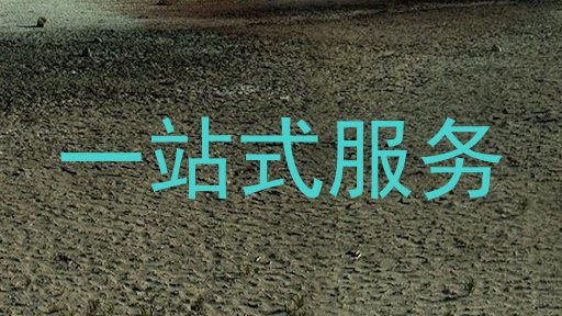 一站式服务