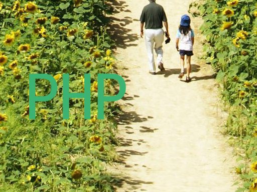 PHP