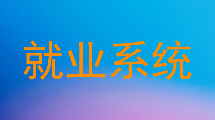 就业系统