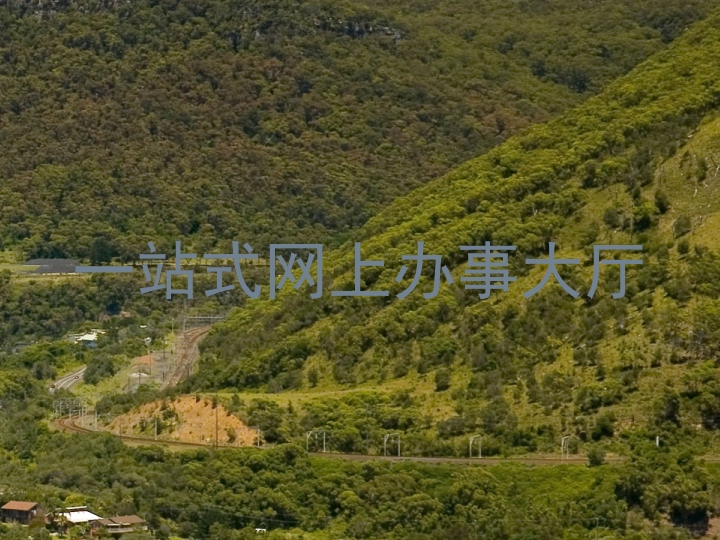 一站式网上办事大厅