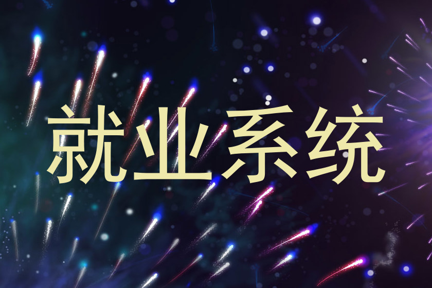 就业系统