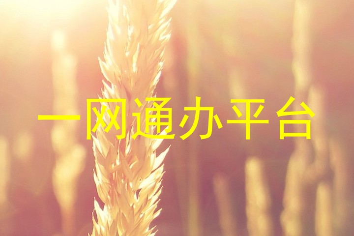 一网通办平台