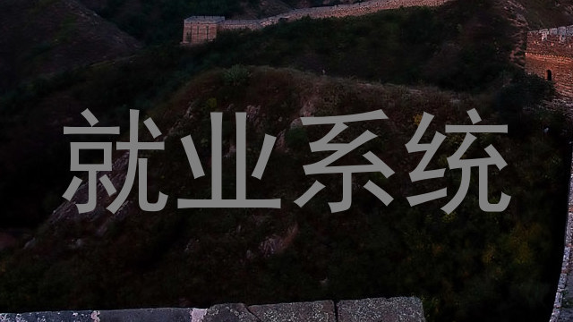 就业系统