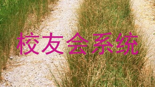 校友会系统