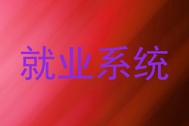 就业系统