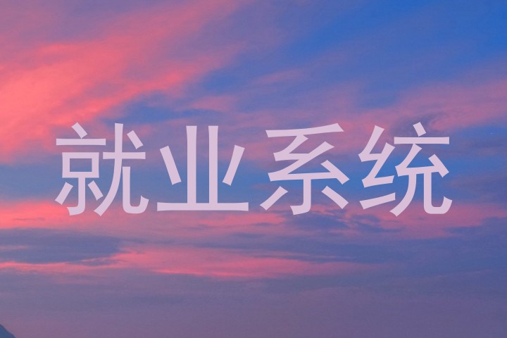 就业系统