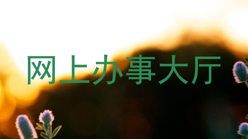 网上办事大厅