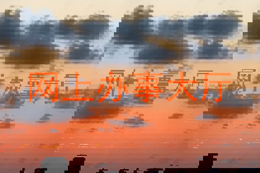 网上办事大厅