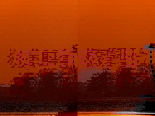 校友管理平台