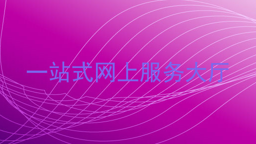 一站式网上服务大厅