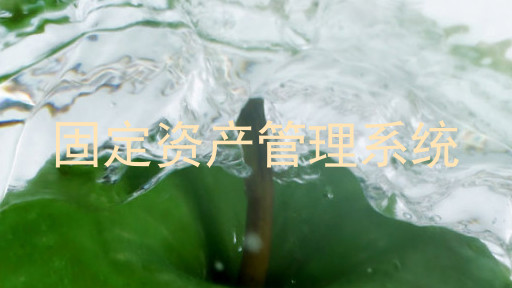 固定资产管理系统