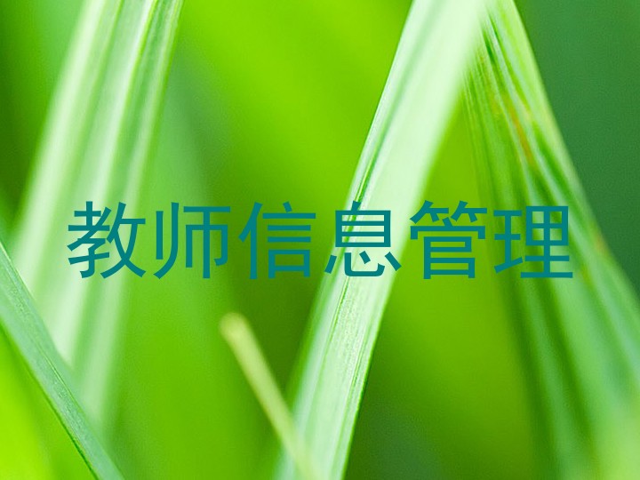 教师信息管理