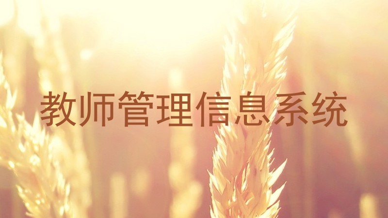 教师管理信息系统