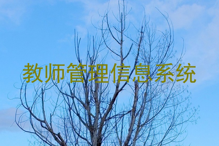 教师管理信息系统