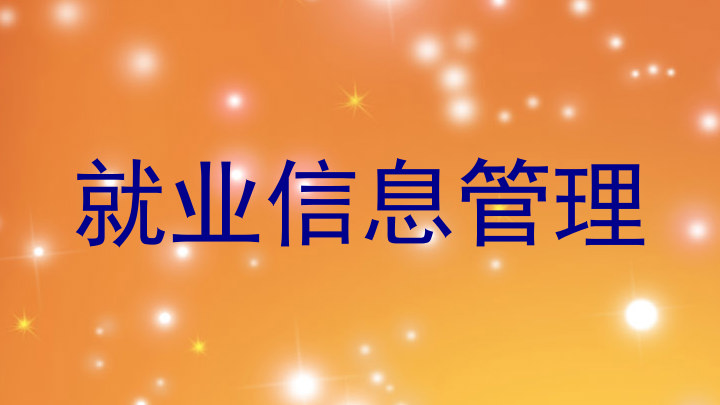 就业信息管理
