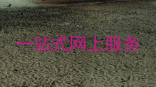 一站式网上服务