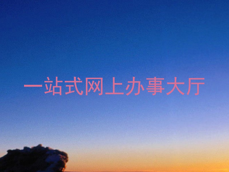 一站式网上办事大厅
