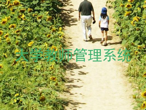 大学教师管理系统