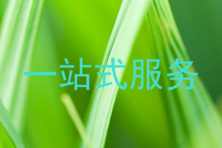 一站式服务