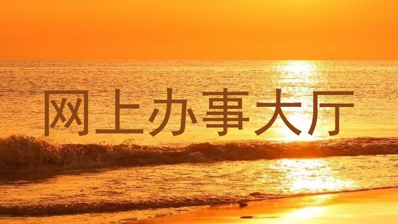 网上办事大厅