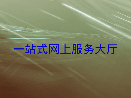 一站式网上服务大厅