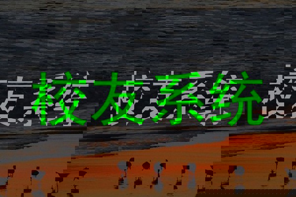 校友系统