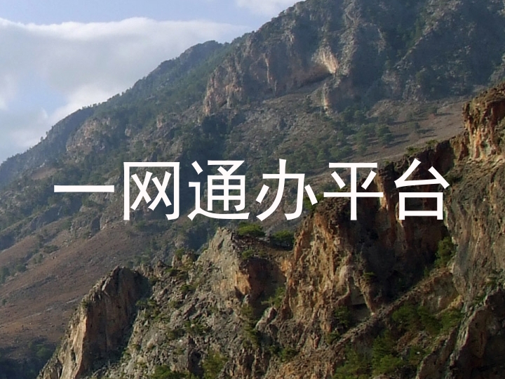 一网通办平台
