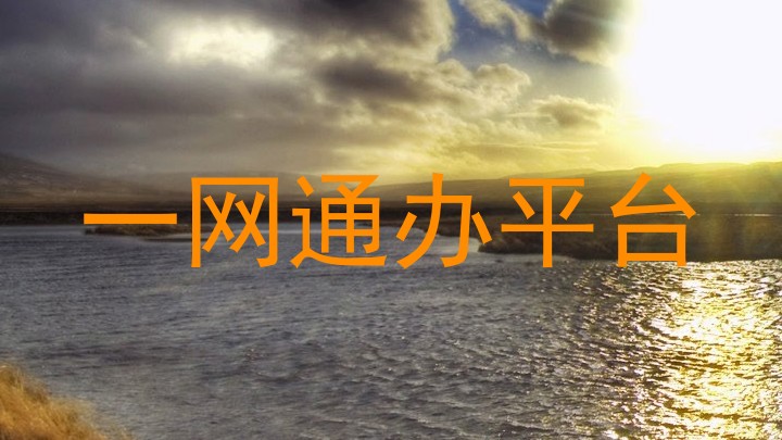 一网通办平台