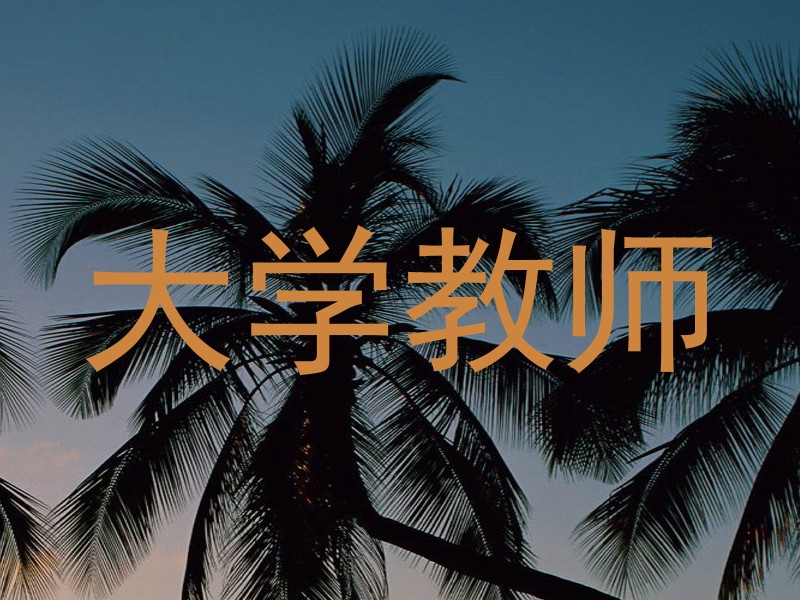 大学教师