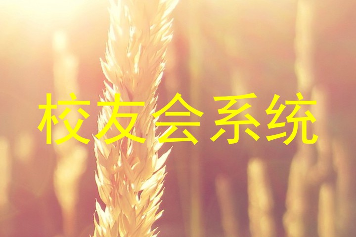 校友会系统