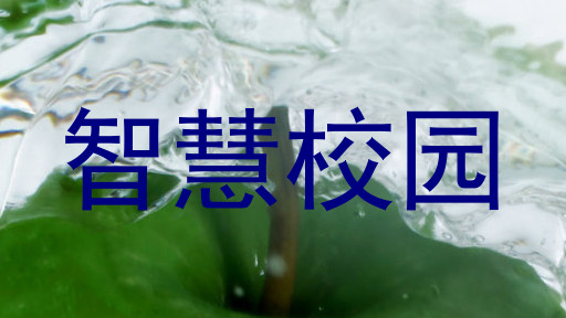 智慧校园