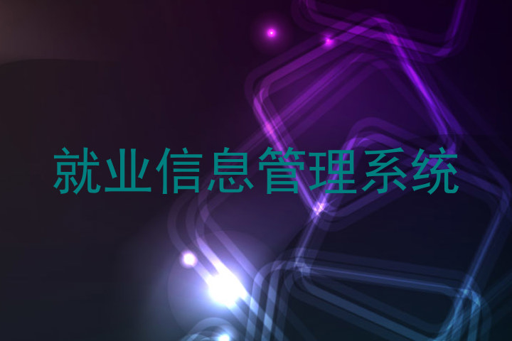 就业信息管理系统