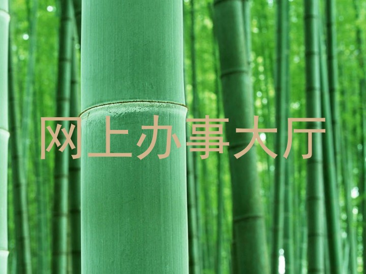 网上办事大厅