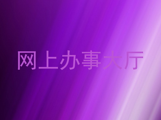 网上办事大厅