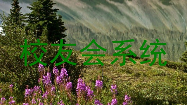 校友会系统