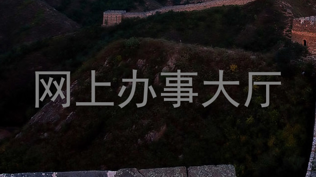 网上办事大厅
