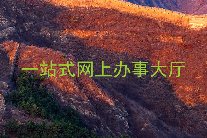 一站式网上办事大厅