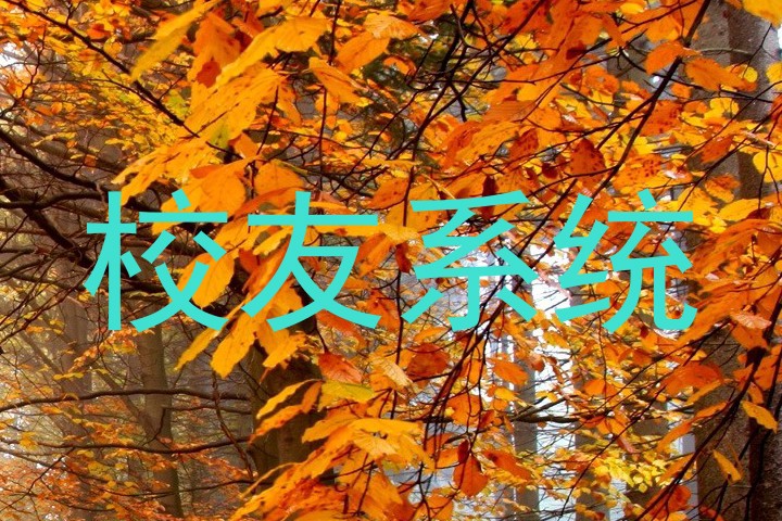 校友系统