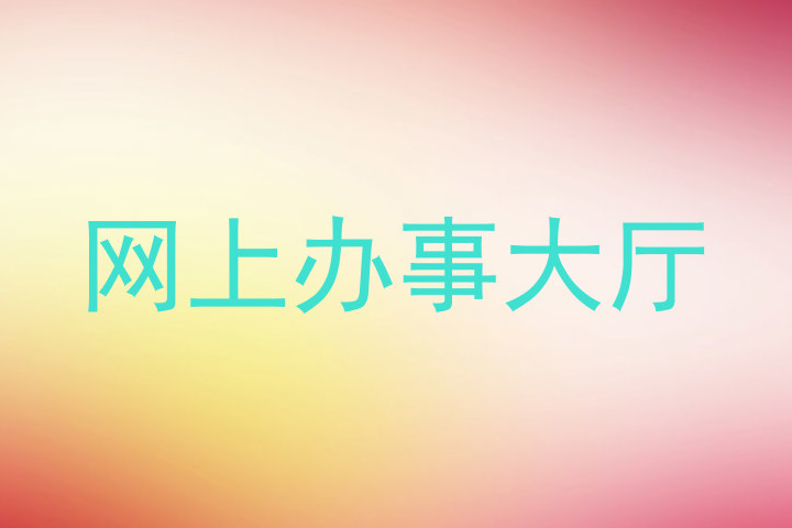 网上办事大厅