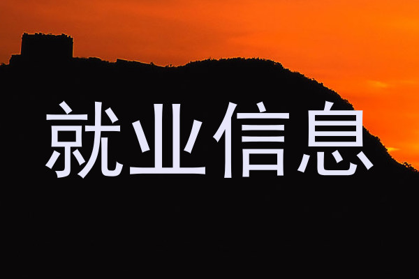 就业信息