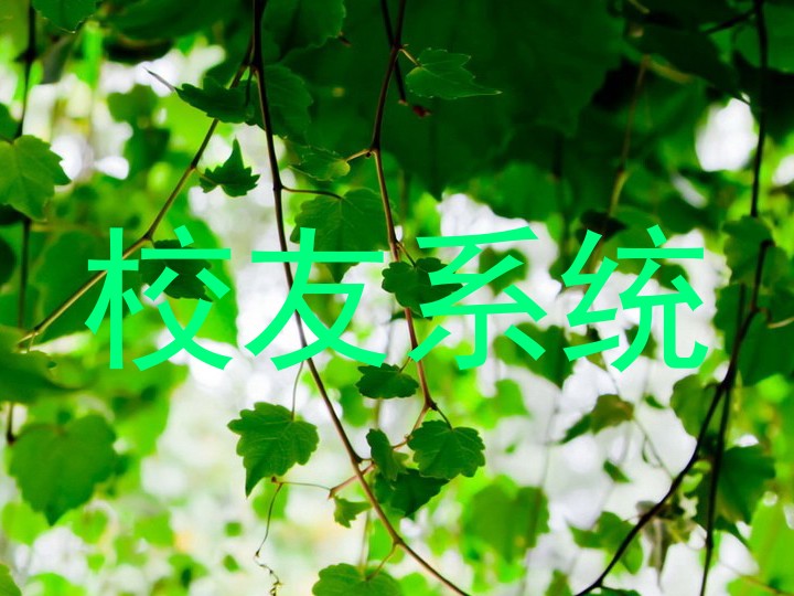 校友系统