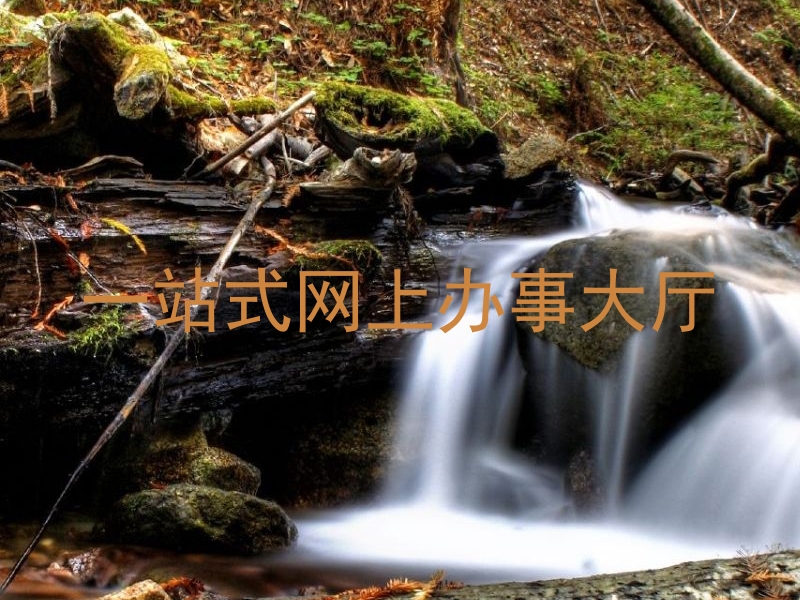 一站式网上办事大厅
