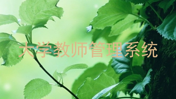 大学教师管理系统