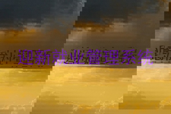迎新就业管理系统